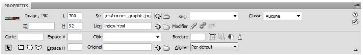 ADOBE DREAMWEAVER CS5 - Présentation de l'inspecteur Propriétés - 1