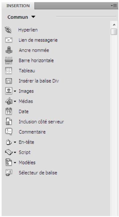 ADOBE DREAMWEAVER CS5 - Présentation du panneau Insertion - 1