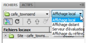 ADOBE DREAMWEAVER CS5 - Modification de l'affichage du site dans le panneau Fichiers (sites Dreamweaver uniquement) - 1