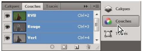 ADOBE DREAMWEAVER CS5 - Réduction et développement des icones de panneaux - 2