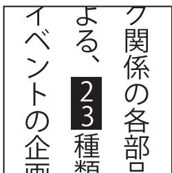 ADOBE ENCORE CS4 - Options de texte vertical - 2