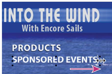 ADOBE ENCORE CS4 - Redimensionnement du cadre de sélection de texte - 2