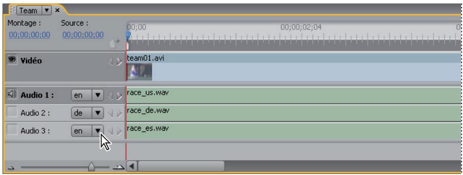 ADOBE ENCORE CS4 - A propos des pistes audio multiples - 1