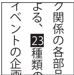 ADOBE ENCORE CS4 - Options de texte vertical - 4