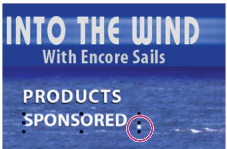 ADOBE ENCORE CS4 - Redimensionnement du cadre de sélection de texte - 1