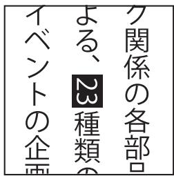 ADOBE ENCORE CS4 - Options de texte vertical - 3