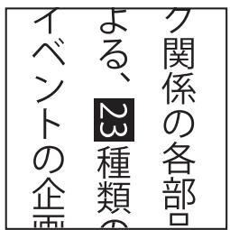 ADOBE ENCORE CS4 - Options de texte vertical - 1