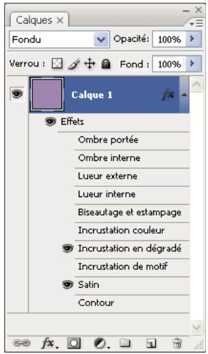 ADOBE ENCORE CS5 - A propos de la création de styles - 2