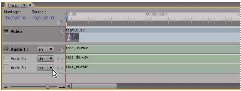 ADOBE ENCORE CS5 - A propos des pistes audio multiples - 1