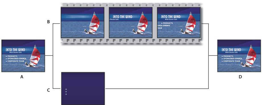 ADOBE ENCORE CS5 - Définissez le point de boucle du menu. - 1