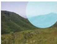 ADOBE FIREWORKS CS5 - Modes de fusion - 6