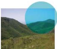 ADOBE FIREWORKS CS5 - Modes de fusion - 3