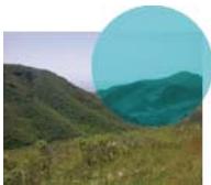 ADOBE FIREWORKS CS5 - Modes de fusion - 10