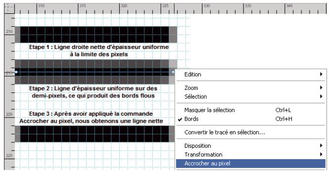 ADOBE FIREWORKS CS5 - Optimisation de la netteté des lignes - 2