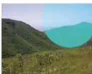 ADOBE FIREWORKS CS5 - Modes de fusion - 13