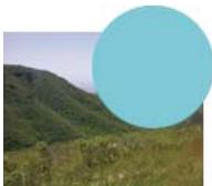 ADOBE FIREWORKS CS5 - Modes de fusion - 2