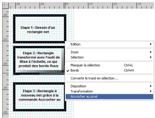 ADOBE FIREWORKS CS5 - Optimisation de la netteté des lignes - 1