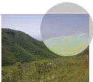 ADOBE FIREWORKS CS5 - Modes de fusion - 11