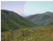 ADOBE FIREWORKS CS5 - Modes de fusion - 8