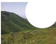 ADOBE FIREWORKS CS5 - Modes de fusion - 14