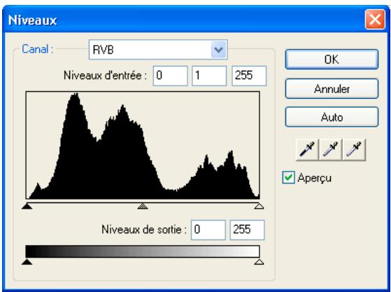 ADOBE FIREWORKS CS5 - Réglage des tons clairs, des tons moyens et des tons foncés à l'aide de la fonction Niveaux - 1