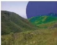 ADOBE FIREWORKS CS5 - Modes de fusion - 9