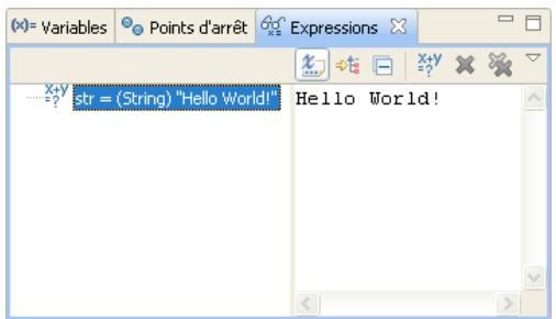 ADOBE FLASH BUILDER 4.7 - Vue Expressions - 1