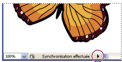 ADOBE FLASH CS3 - Affichage d'informations sur Version Cue - 1