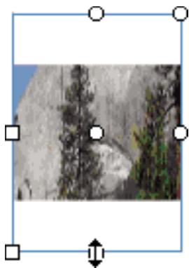 ADOBE FLASH CS3 - Transformation des replissages dégradés et de bitmap - 4