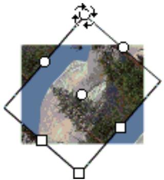 ADOBE FLASH CS3 - Transformation des replissages dégradés et de bitmap - 5