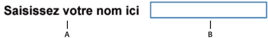 ADOBE FLASH CS3 - Choix du nom des boutons, champs de texte et applications Flash entières - 1