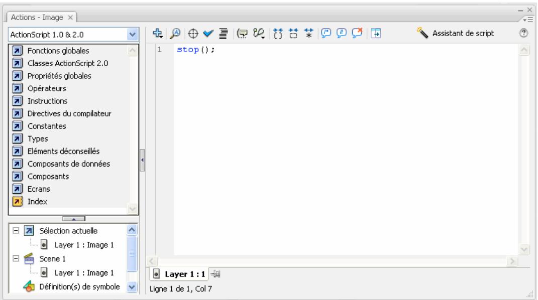 ADOBE FLASH CS3 - Présentation du panneau Actions - 1