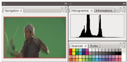 ADOBE FLASH CS3 - Pour ancreer et detacher des panneaux - 2