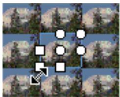 ADOBE FLASH CS3 - Transformation des replissages dégradés et de bitmap - 9