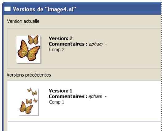 ADOBE FLASH CS3 - Visualisation, promotion et suppression des versions - 2