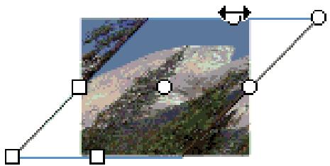 ADOBE FLASH CS3 - Transformation des replissages dégradés et de bitmap - 8