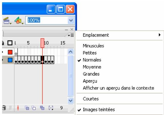 ADOBE FLASH CS3 - Changement de l'affichage des images dans le scenario - 1
