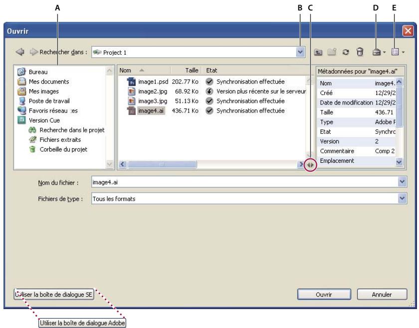 ADOBE FLASH CS3 - Utilisation de la boîte de dialogue Adobe - 2