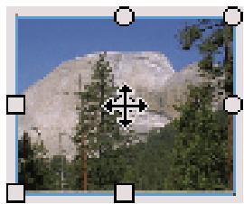 ADOBE FLASH CS3 - Transformation des replissages dégradés et de bitmap - 2