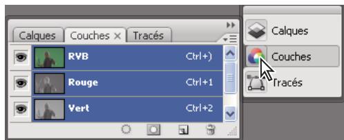 ADOBE FLASH CS3 - Pour manipuler des panneaux réduits à la taille d'icones - 2