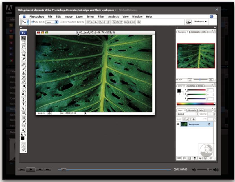 ADOBE FLASH CS3 - Atelier video Adobe - 2