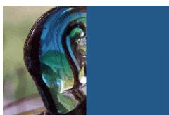 ADOBE FLASH CS3 - Exemples de mode de fondu - 2