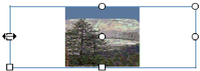 ADOBE FLASH CS3 - Transformation des replissages dégradés et de bitmap - 3