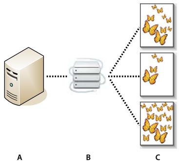 ADOBE FLASH CS4 - A propos de Version Cue - 1
