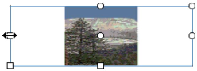 ADOBE FLASH CS4 - Transformation des replissages dégradés et de bitmap - 3