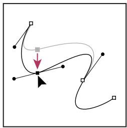 ADOBE FLASH CS4 - Ajustement des segments - 1