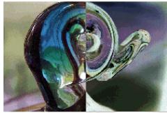 ADOBE FLASH CS4 - Exemples de mode de fondu - 12