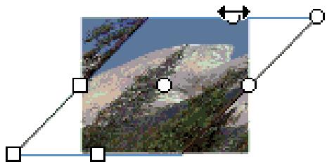 ADOBE FLASH CS4 - Transformation des replissages dégradés et de bitmap - 8