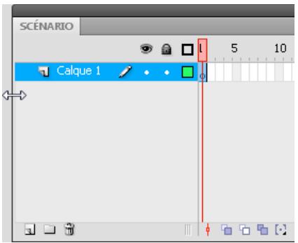 ADOBE FLASH CS4 - Modification de l'apparence du scenario - 1