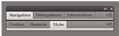 ADOBE FLASH CS4 - Empilage de panneaux flottants - 1